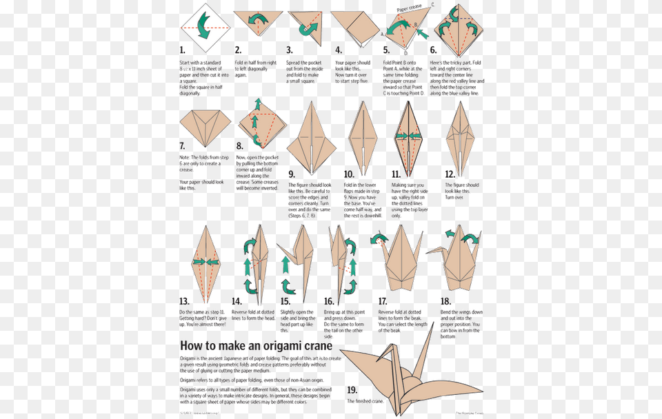 Make An Origami Crane, Person, Paper Free Png