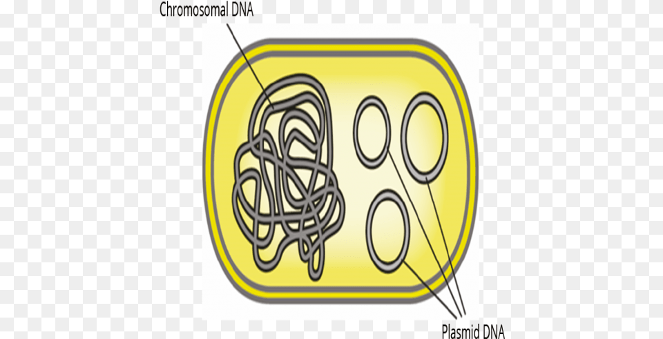 Make Bacteria Prone To Antibiotics Again Circle, Ammunition, Grenade, Weapon, Text Free Transparent Png