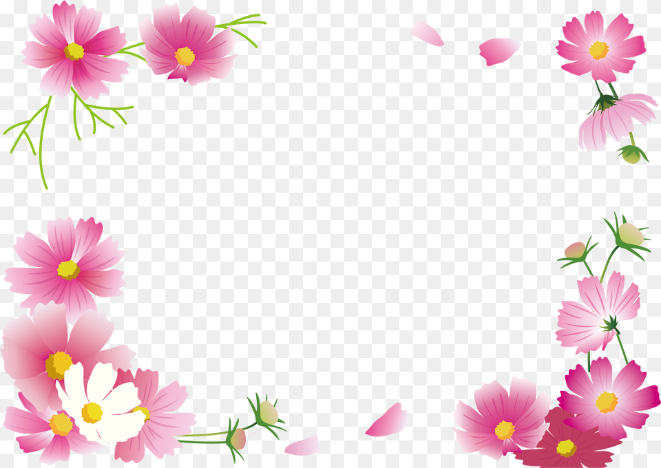 Make Frame Cosmos, Daisy, Flower, Petal, Plant Free Png Download