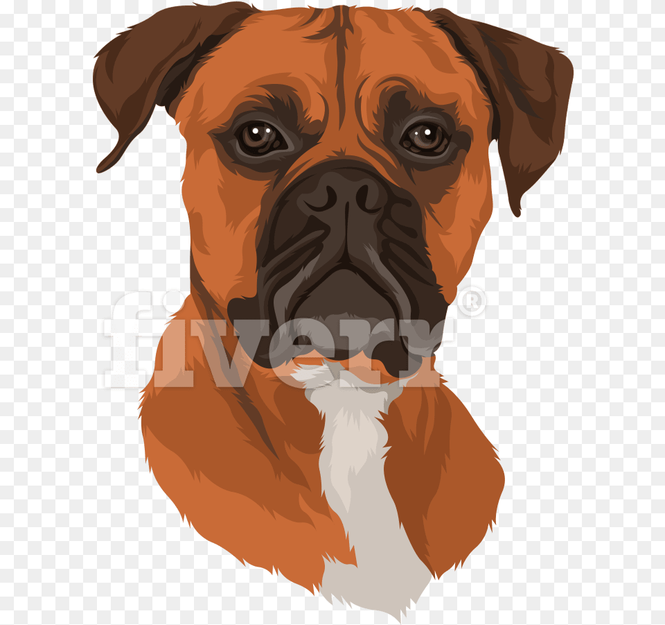 Make High Resolution Cartoon From Your Dog And Cat Healthy Breeds Natural Joint Support For Dogs 60 Count, Animal, Boxer, Bulldog, Canine Free Png