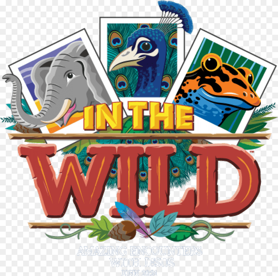 Make It To Our Annual Vacation Bible School Institute Vbs Clinic, Advertisement, Poster, Animal, Beak Free Transparent Png