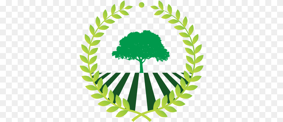 Make Own Green Tree Logo With Design Maker, Leaf, Plant, Vegetation, Grass Free Transparent Png