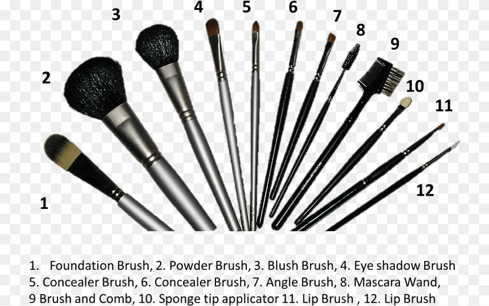 Make Up Brushes Brush Do You Use To Put Eyeshadow Under Your Eye, Device, Tool, Cosmetics Free Png Download