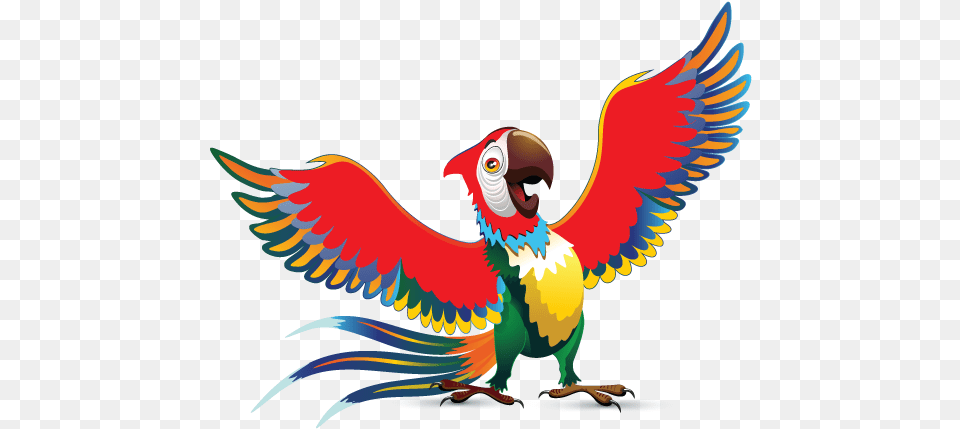 Make Your Own Colorful Parrot Logo Design For Macaw, Animal, Bird Free Png