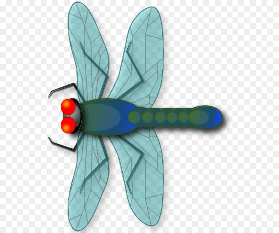 Make Your Own Dragonfly From Scratch Beginners Dragonfly, Animal, Insect, Invertebrate Png Image