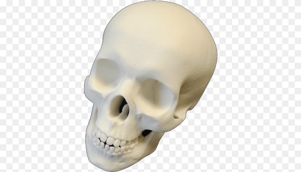Makerbot Desktop 5th Generation 3d Printer Skull, Head, Person, Face Free Png Download