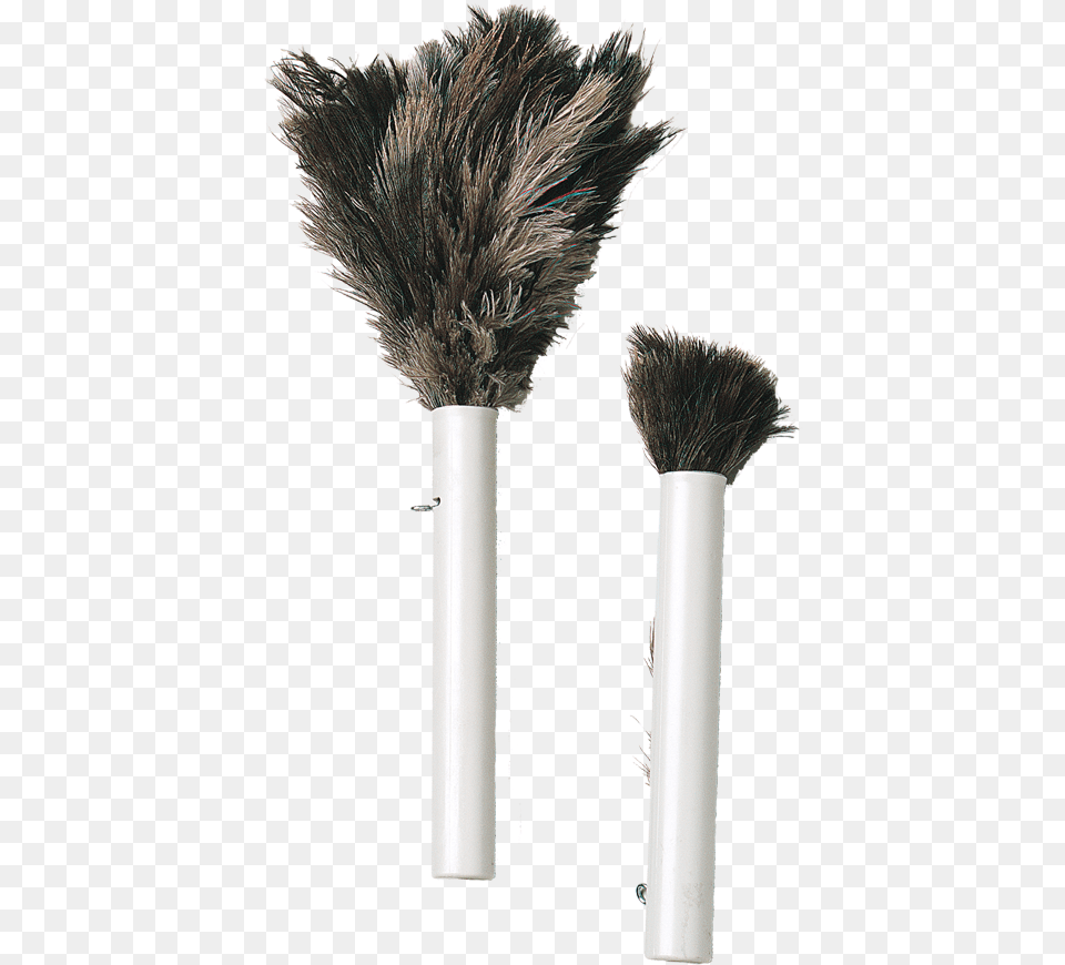 Makeup Brushes, Brush, Device, Tool, Plant Png Image