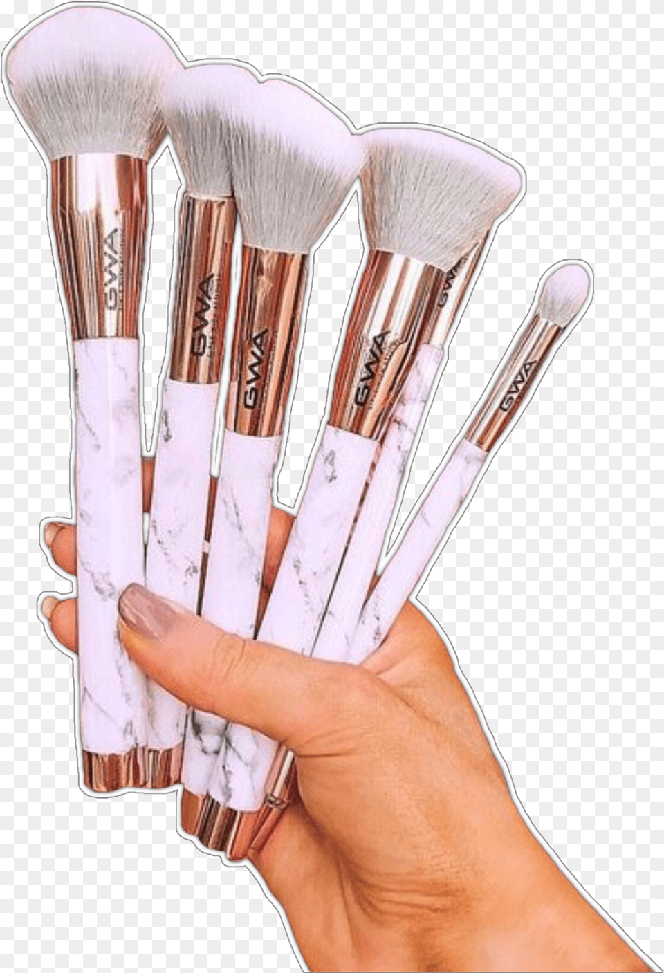 Makeup Brushes Nichememes Freetoedit Niche Self Care Memes Png Image