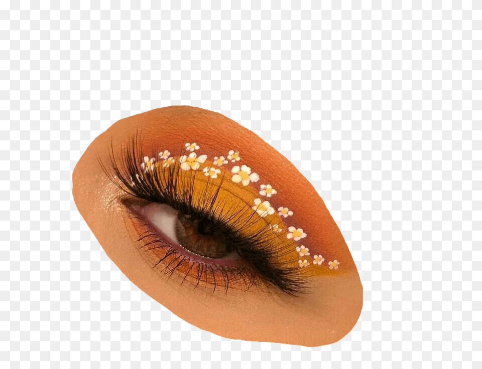 Makeup Eye Makeup Eyeshadow Flower Cute Makeup Aesthetic, Plant, Pollen, Adult, Female Png Image
