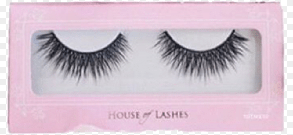 Makeup Pink Eye Lashes Eyelashes Eyelash Extensions Eyelash Extensions, Face, Head, Person, Cosmetics Free Transparent Png
