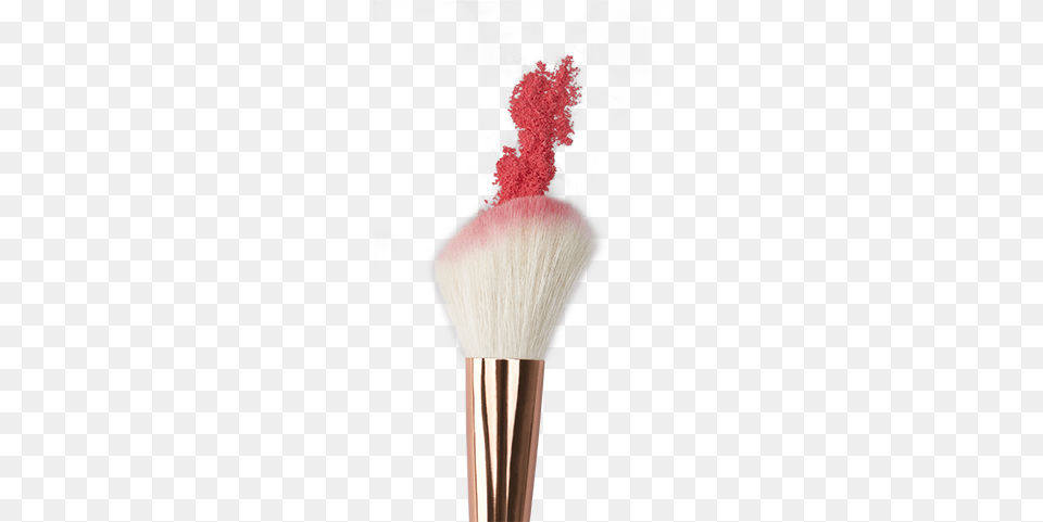 Makeup Set Brushes Powder Eyeliner Brush Lip, Device, Tool, Adult, Bride Png Image
