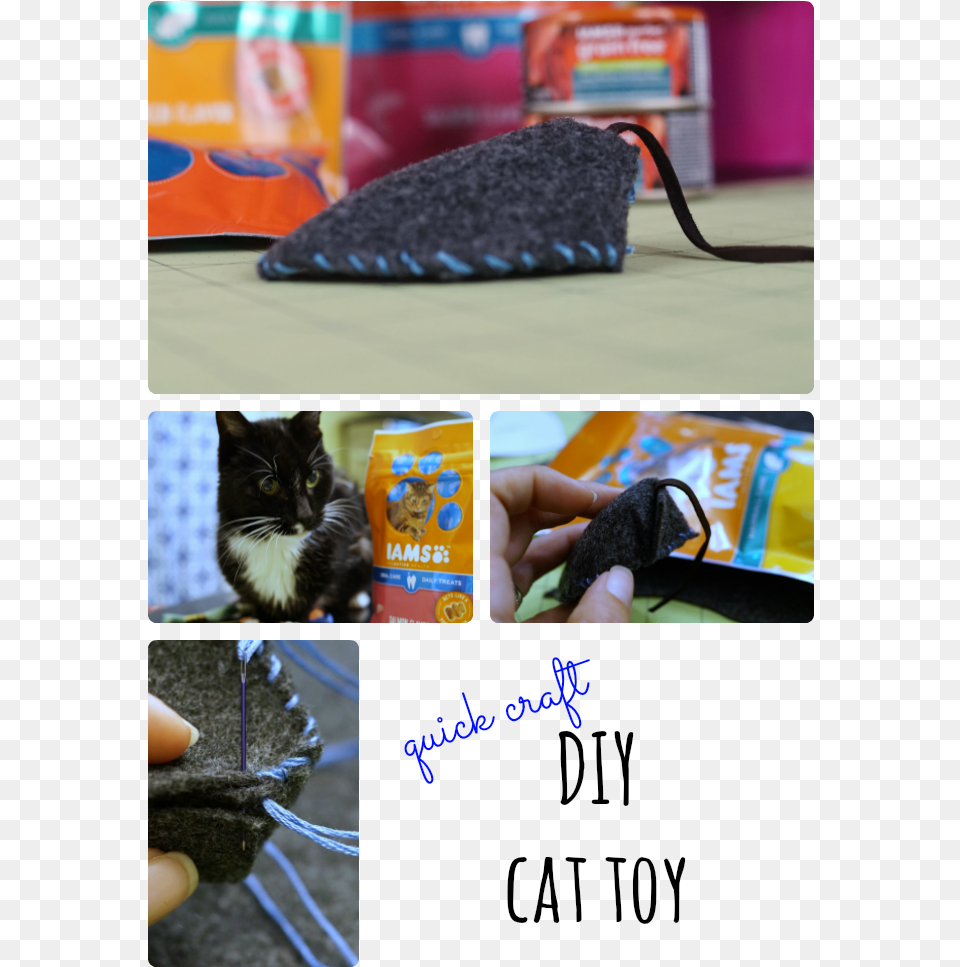 Making A Cat Toy Is Easier Than You Think Check Out, Accessories, Handbag, Bag, Person Free Png Download