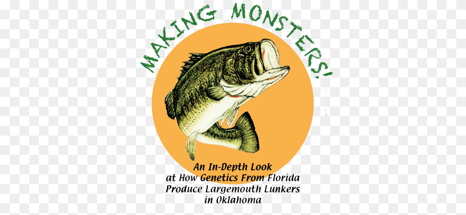Making Monsters Bass, Advertisement, Animal, Fish, Sea Life Free Png
