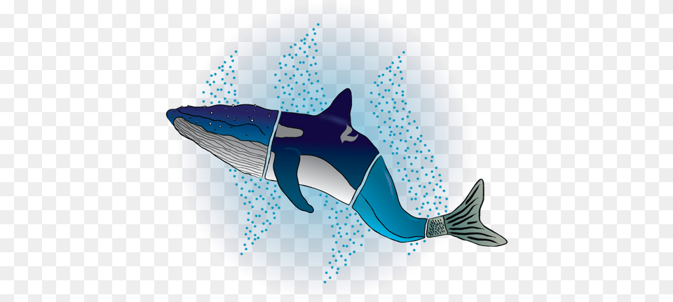Making Of The New Logo For Buddyup Discord Group And Trying Great White Shark, Animal, Mammal, Sea Life, Whale Free Png