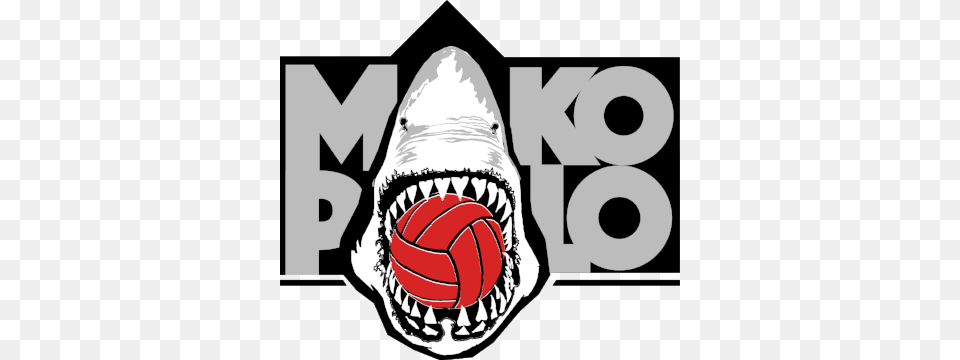 Mako Polo, Animal, Fish, Sea Life, Shark Free Png Download