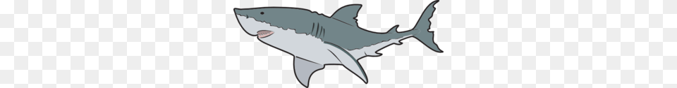 Mako Shark Clipart Clipart, Animal, Fish, Sea Life, Great White Shark Free Transparent Png