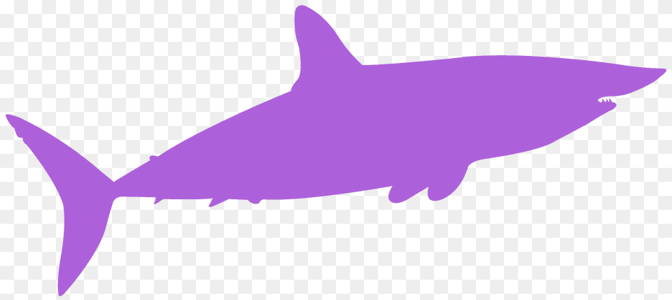 Mako Shark Silhouette, Animal, Fish, Sea Life, Tuna Free Png