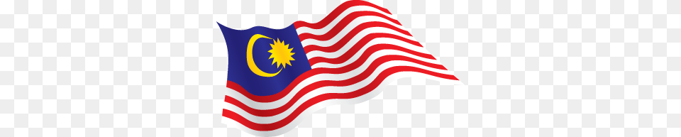 Malaysia Flag Wave, Malaysia Flag, Person Free Png