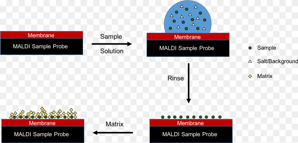 Maldi Sample Preparation Maldi Sample Preparation, Nature, Night, Outdoors, Text Free Png Download