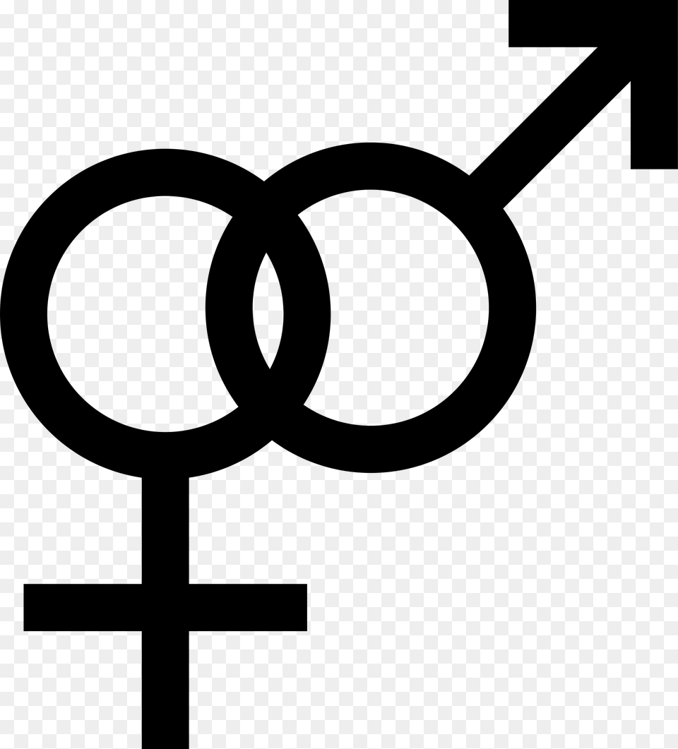 Male And Female Gender Icons Bisexual Symbol, Gray Free Png Download