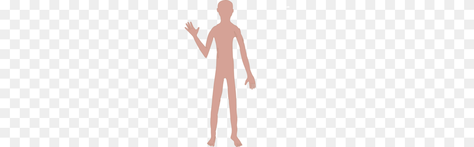 Male Body One Clip Art, Adult, Man, Person, Finger Free Png