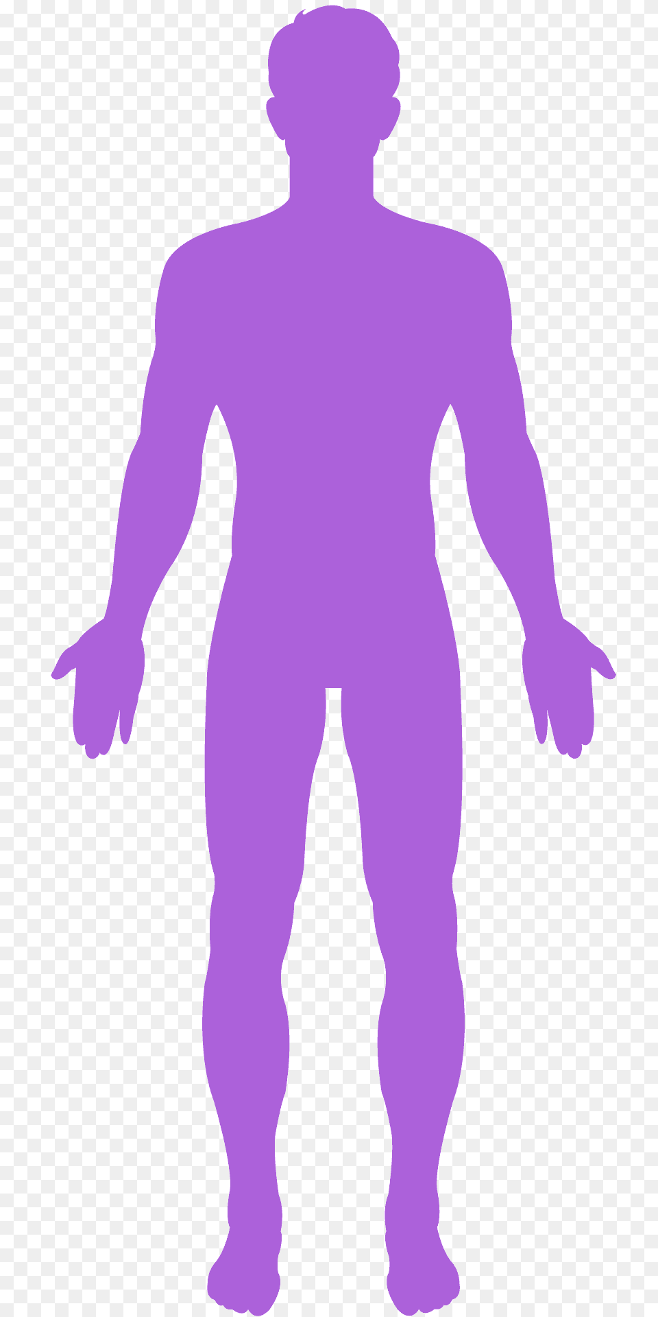 Male Body Silhouette, Adult, Man, Person, Alien Free Png