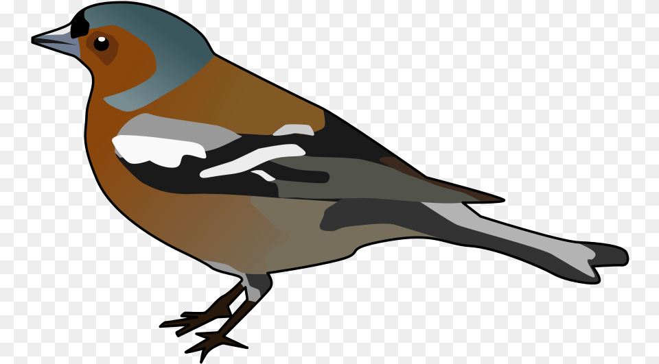 Male Chaffinch Clipart Chaffinch Clipart, Animal, Bird, Finch, Fish Free Png Download