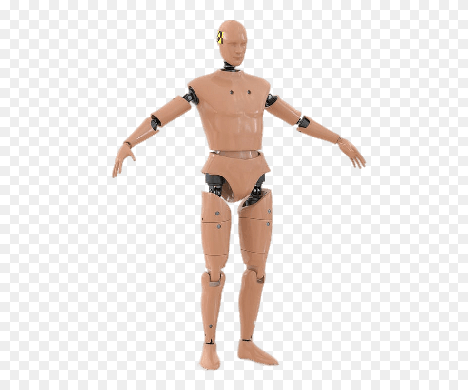 Male Crash Test Dummy, Adult, Man, Person, Robot Png Image