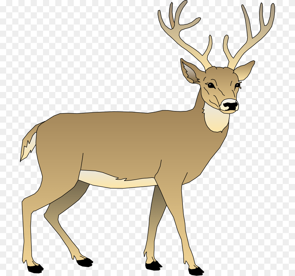 Male Deer Svg Clip Arts 552 X 599 Px, Animal, Mammal, Wildlife, Elk Free Png Download