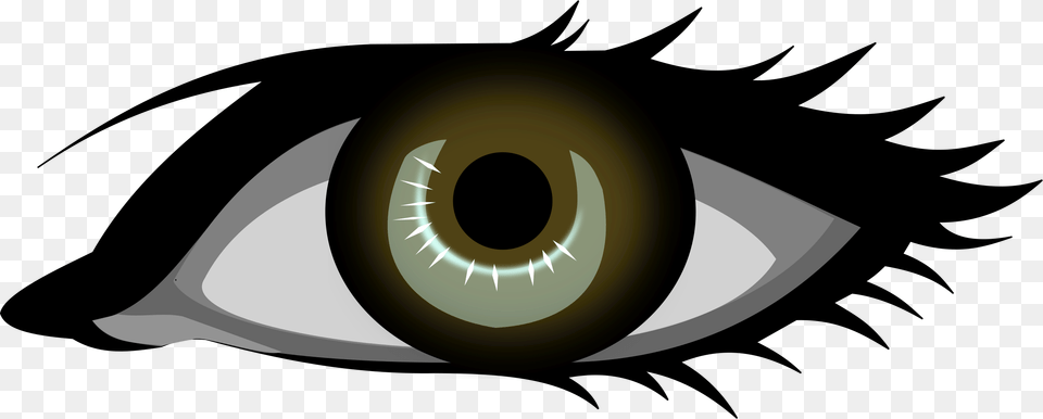 Male Eye Clipart, Contact Lens, Disk Png
