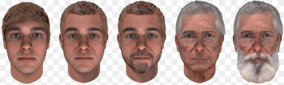 Male Facial Aging Chart, Head, Adult, Beard, Face Png Image