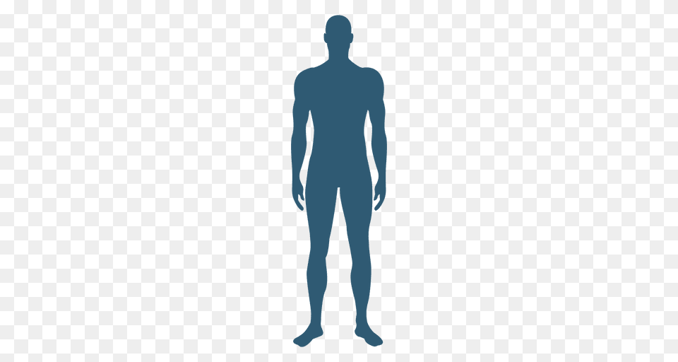 Male Frontal Silhouette, Person Free Transparent Png