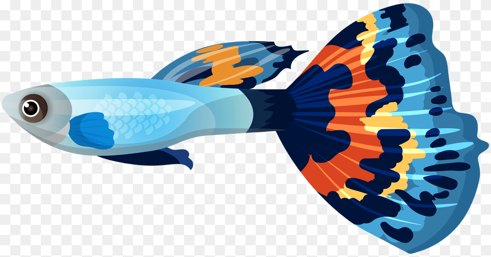 Male Guppy Fish Clip Art, Animal, Sea Life, Dynamite, Weapon Png Image