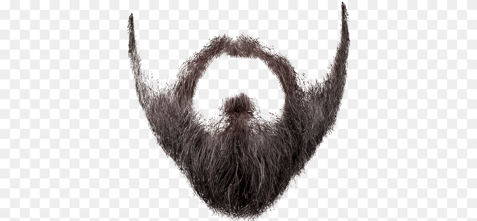 Male Long Hair, Beard, Face, Head, Person Png