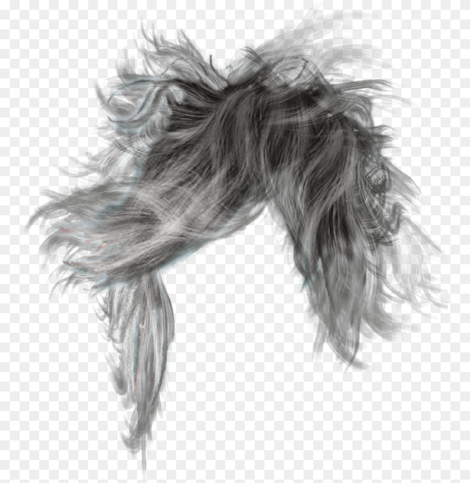 Male Long Hair, Animal, Bird, Art Free Png