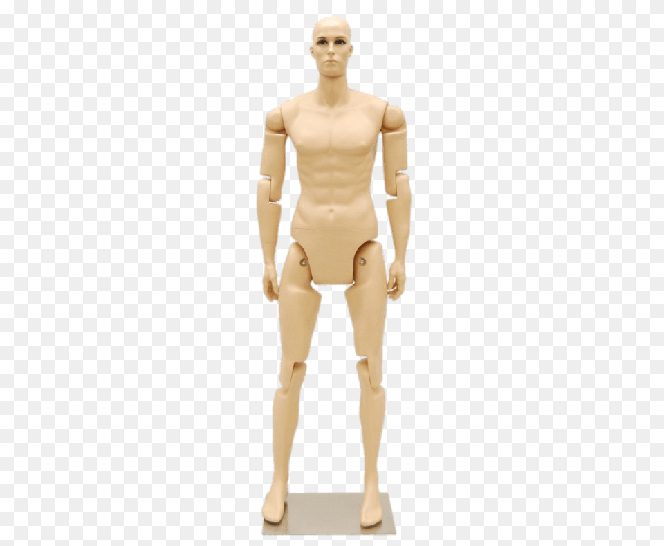 Male Mannequin, Adult, Man, Person, Body Part Png Image