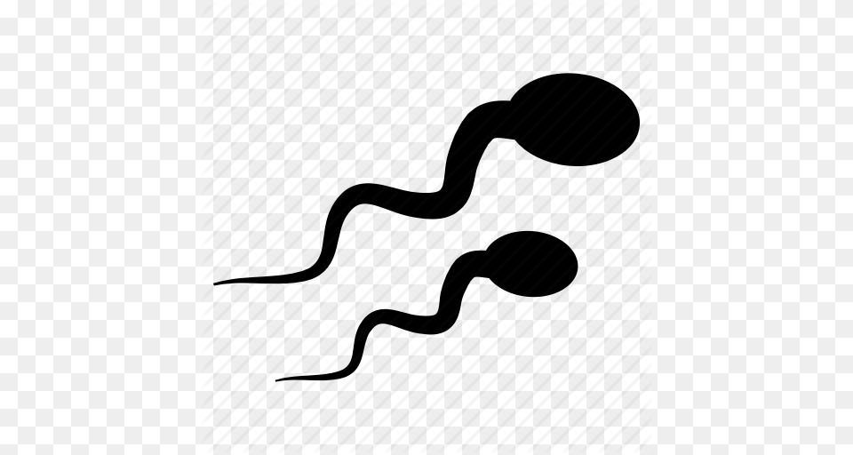 Male Reproduction Semen Sperm Icon, Animal Free Png