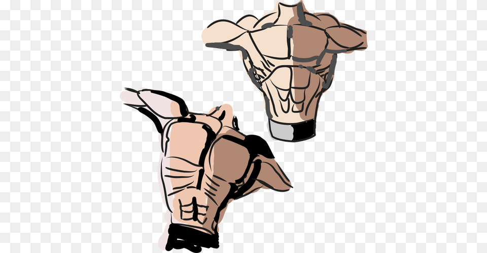 Male Torso, Back, Body Part, Person, Hand Png Image