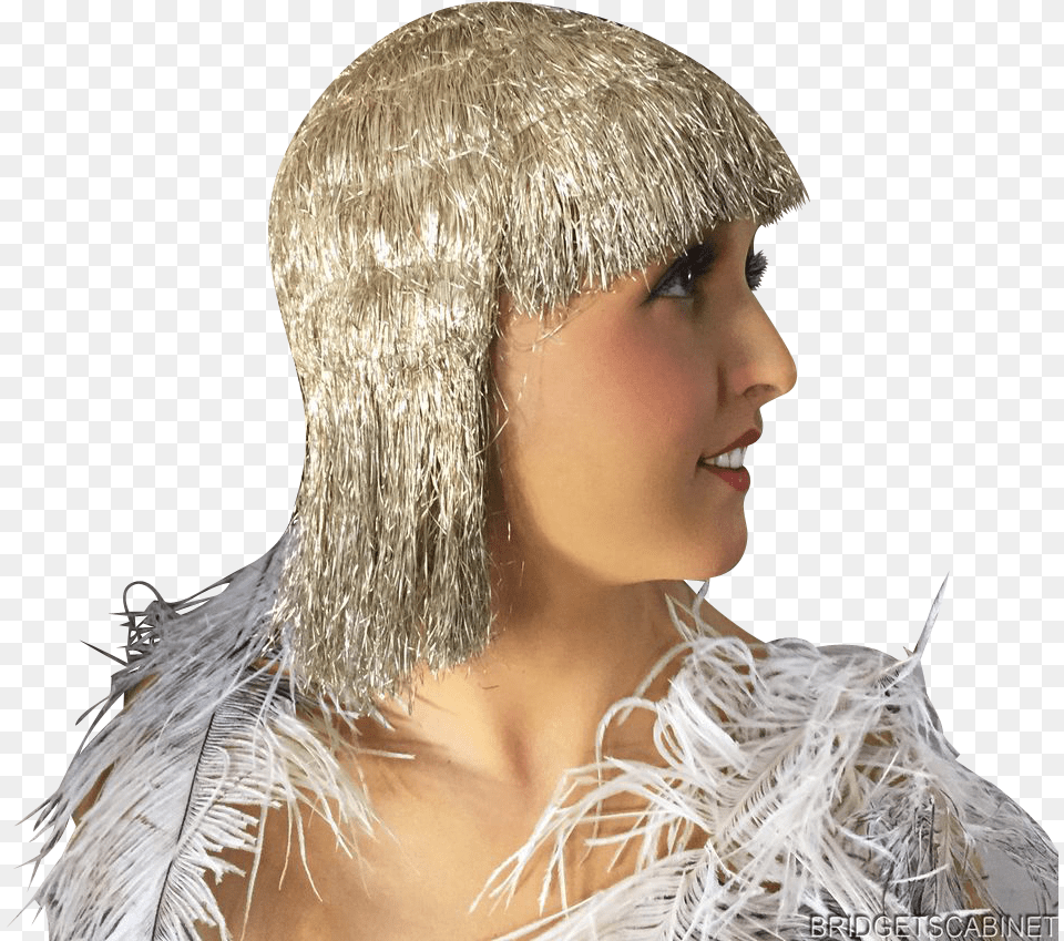 Male Wig, Adult, Person, Hair, Female Free Png Download