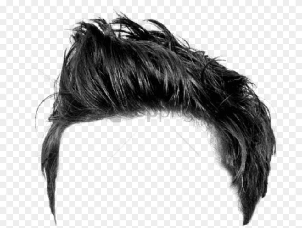 Male Wig Male Black Hair, Adult, Female, Head, Person Png Image