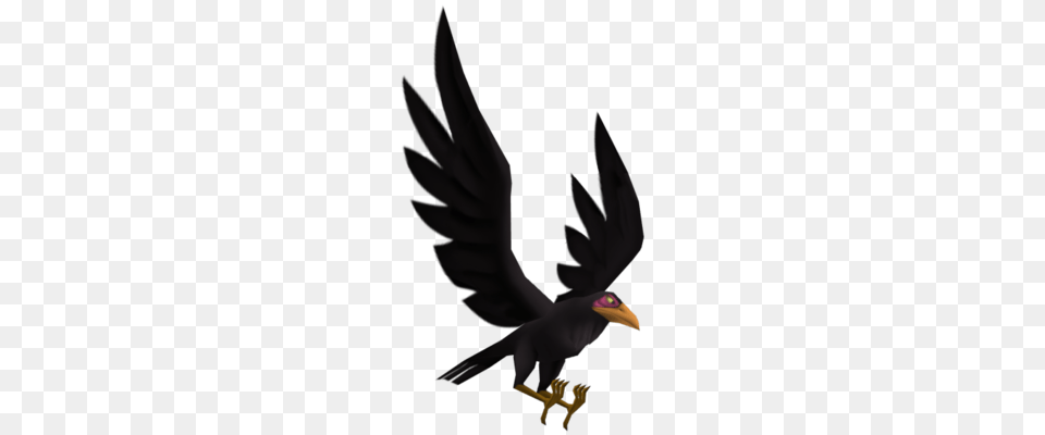 Maleficents Raven, Animal, Bird, Blackbird, Vulture Free Png