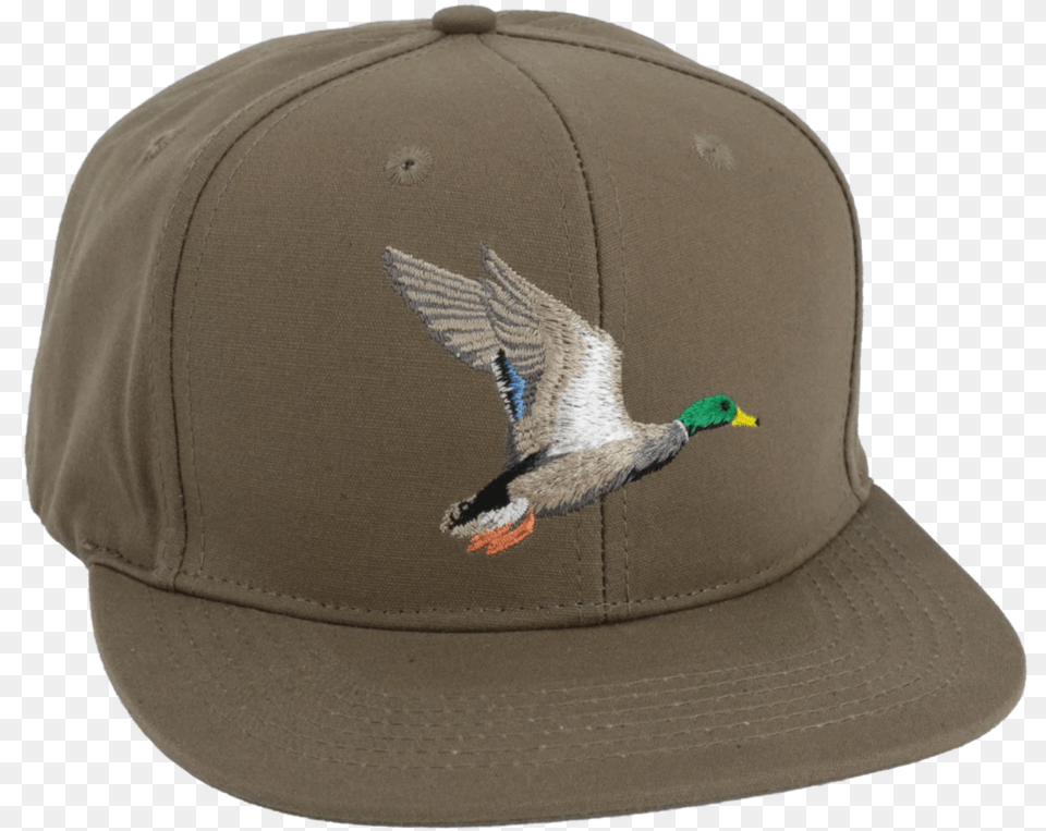 Mallard, Baseball Cap, Cap, Clothing, Hat Free Transparent Png