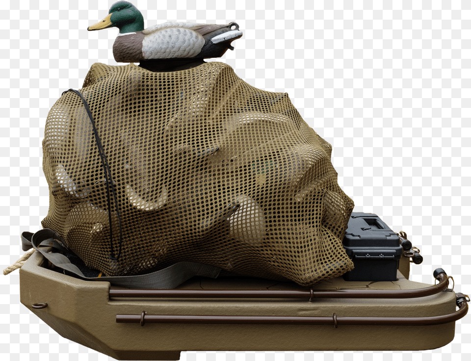 Mallard Free Transparent Png