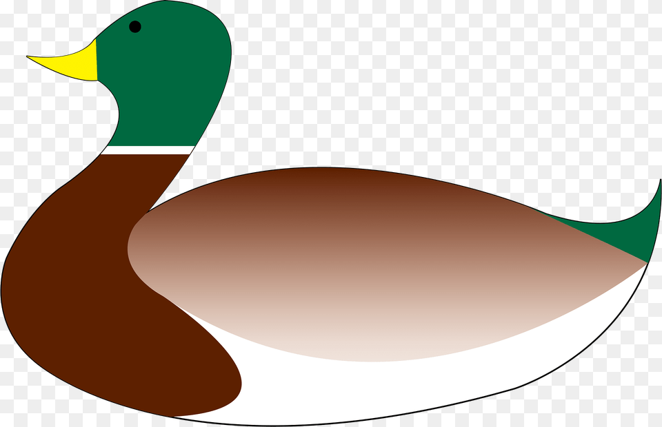 Mallard Clipart, Animal, Anseriformes, Bird, Duck Png Image
