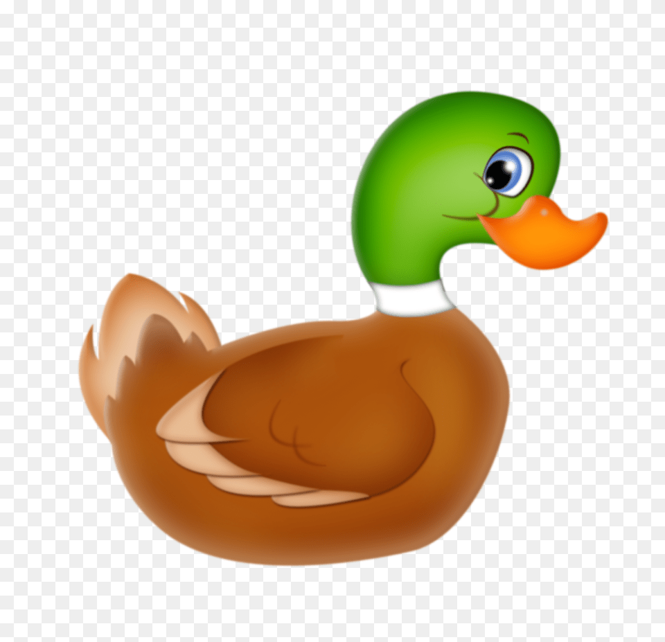 Mallard Duck, Animal, Bird, Waterfowl Free Png