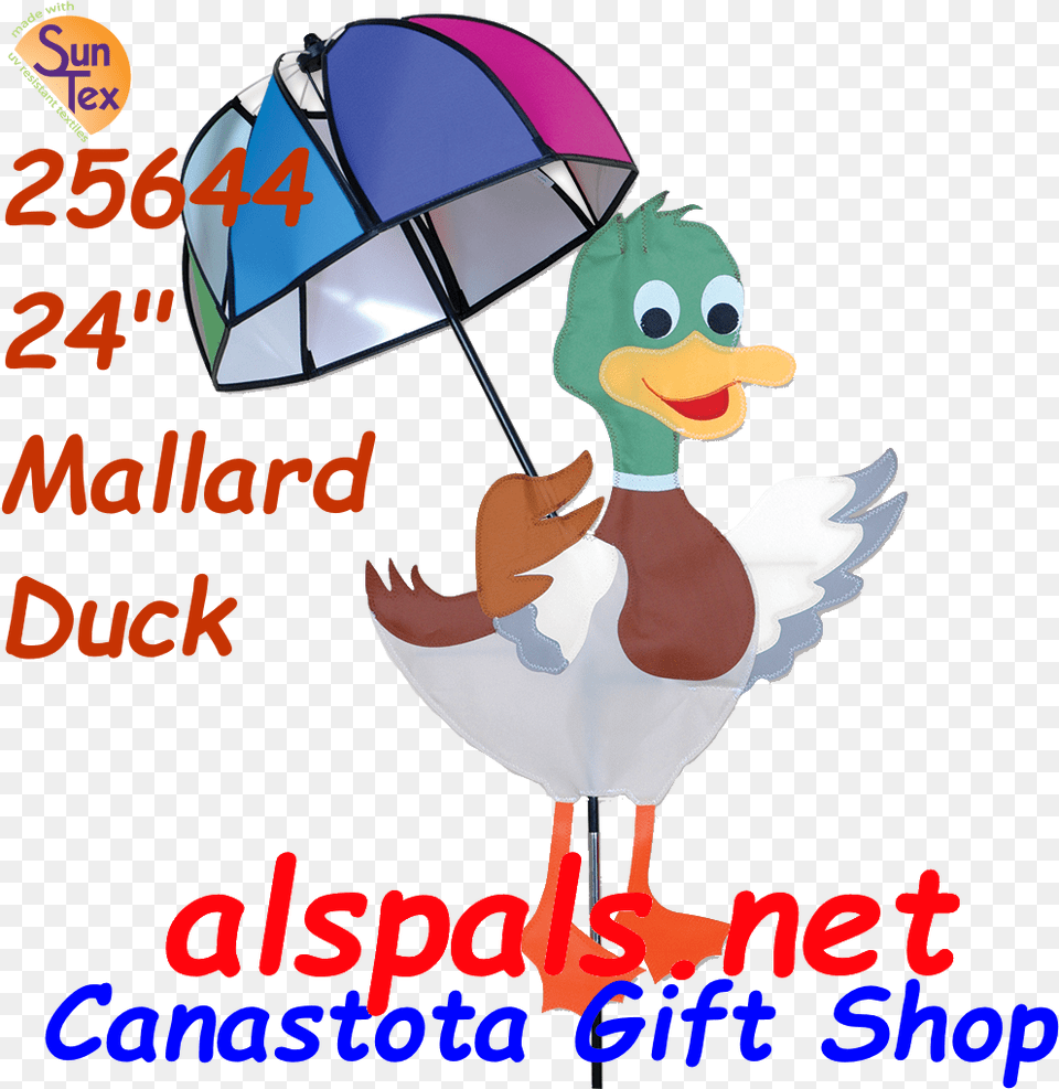 Mallard Duck, Baby, Person, Animal, Bird Png Image