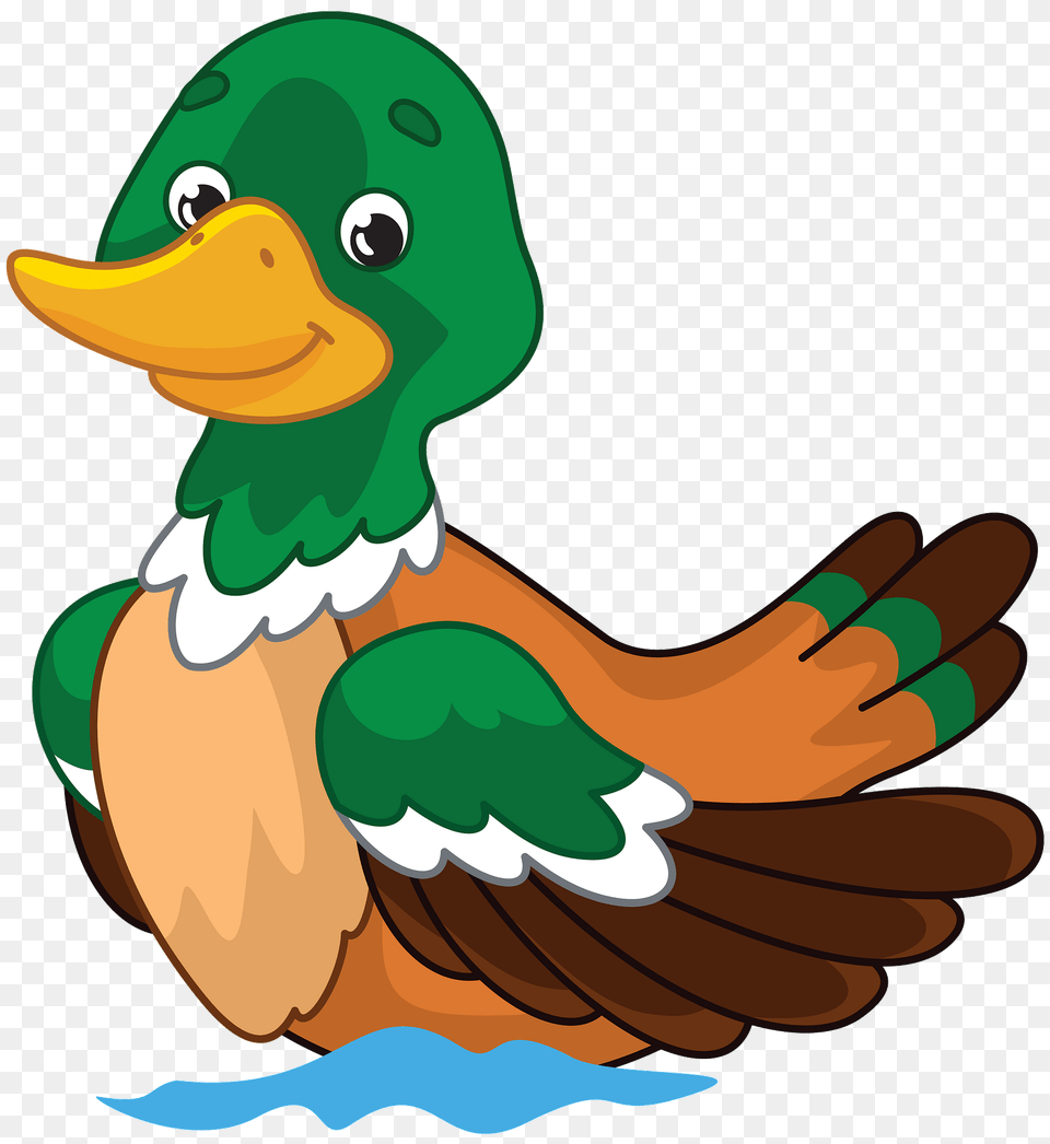 Mallard Duck Clipart, Animal, Beak, Bird, Anseriformes Free Transparent Png
