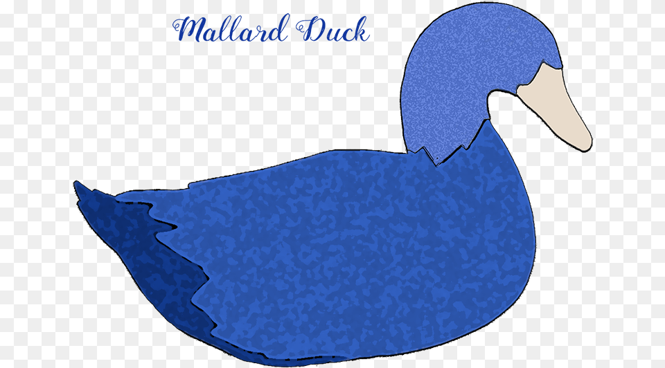 Mallard Duck Decoy Mallard Duck Mallard Duck Blue Mallard Ruddy Duck, Animal, Bird, Fish, Sea Life Png Image