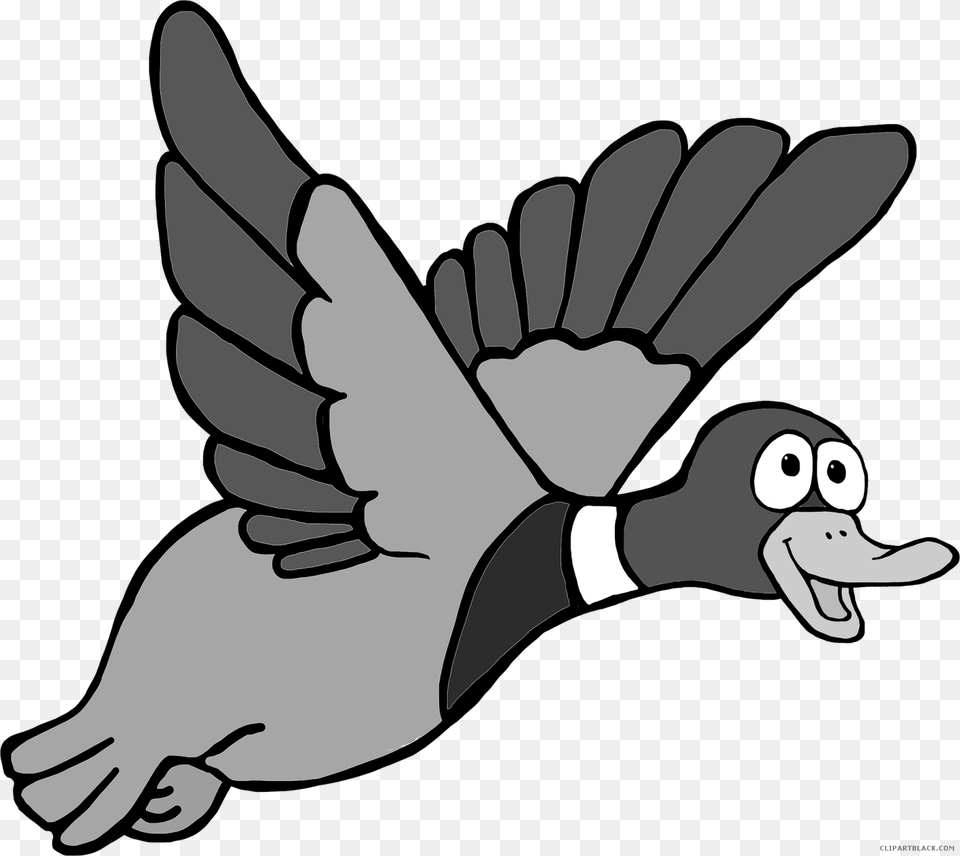 Mallard Flying Duck Clip Art, Animal, Baby, Person, Bird Free Png Download