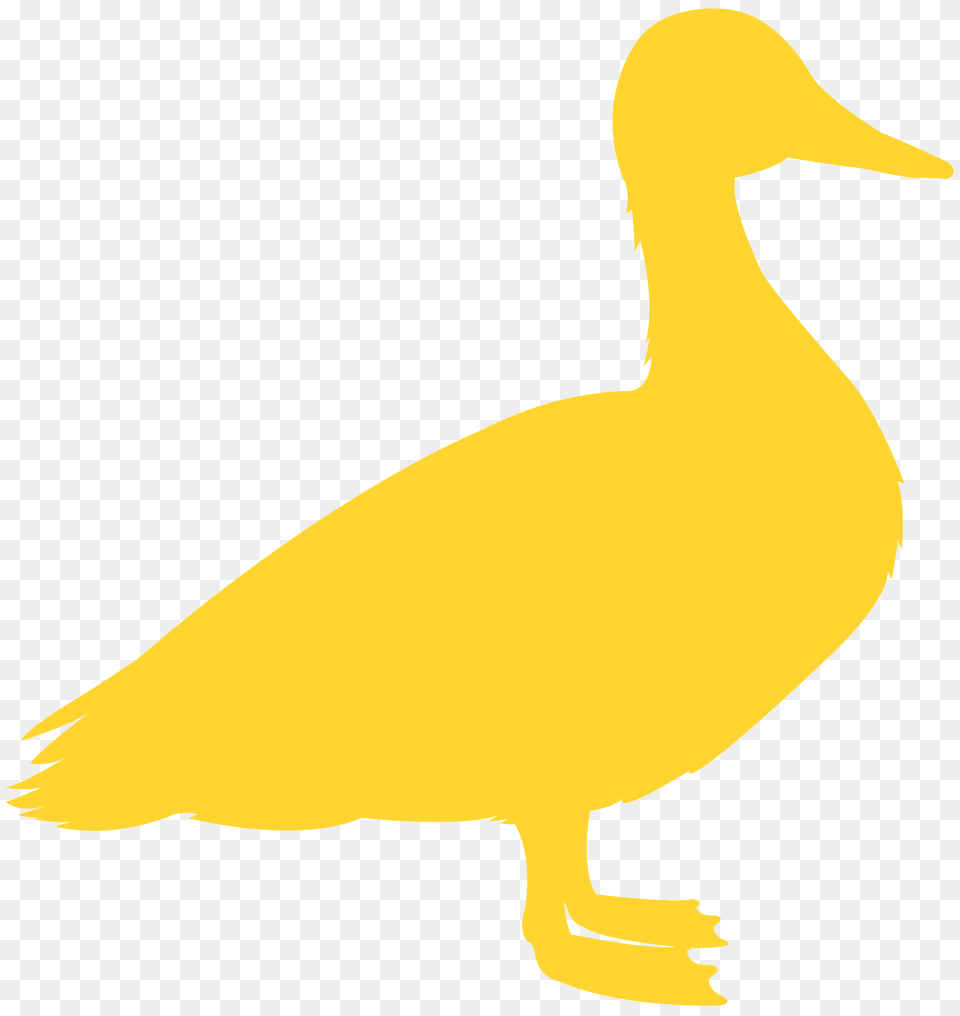 Mallard Silhouette, Animal, Bird, Duck, Fish Free Transparent Png